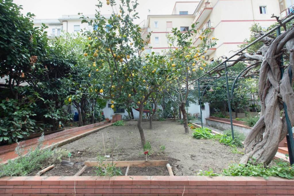 Willa Oltre Il Giardino Vico Equense Zewnętrze zdjęcie